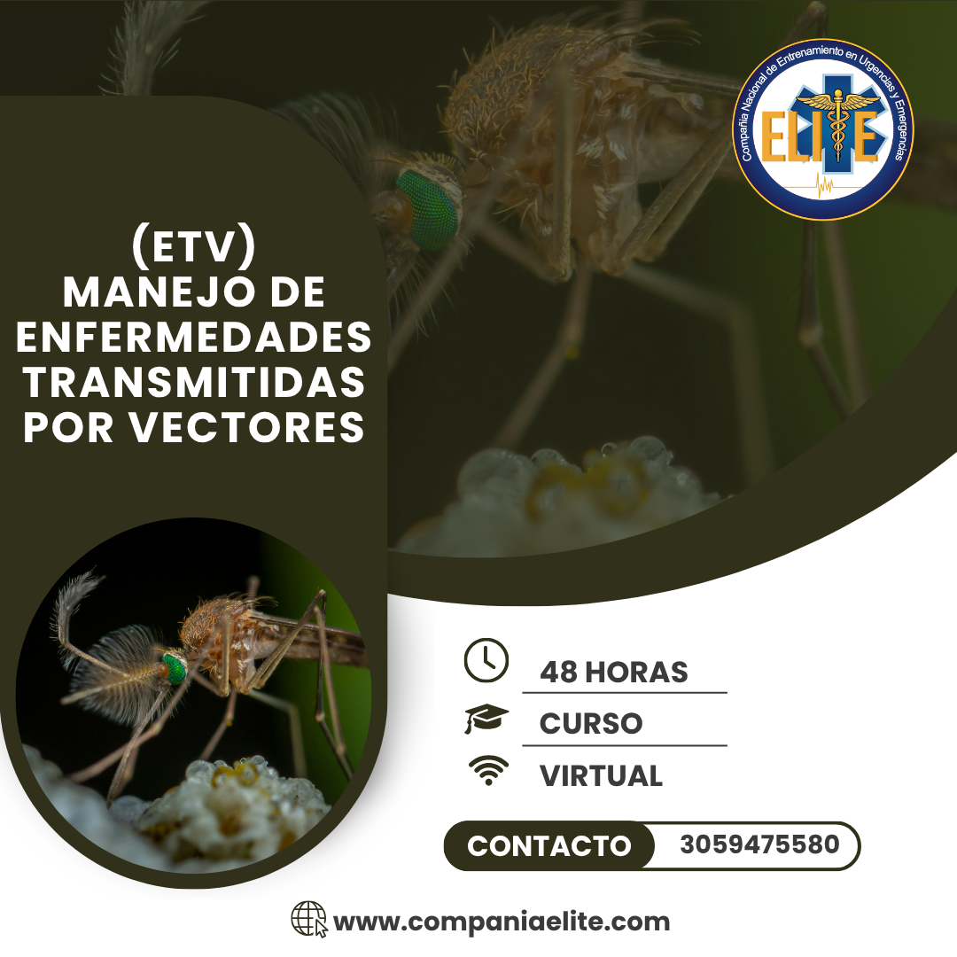 (ETV) MANEJO DE ENFERMEDADES TRANSMITIDAS POR VECTORES